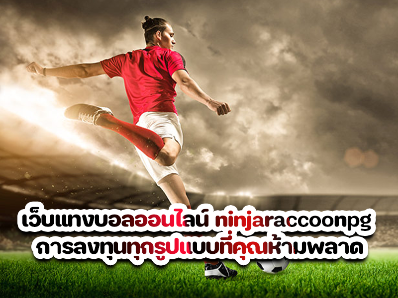 เว็บแทงบอลออนไลน์ ninjaraccoonpg การลงทุนทุกรูปแบบที่คุณห้ามพลาด